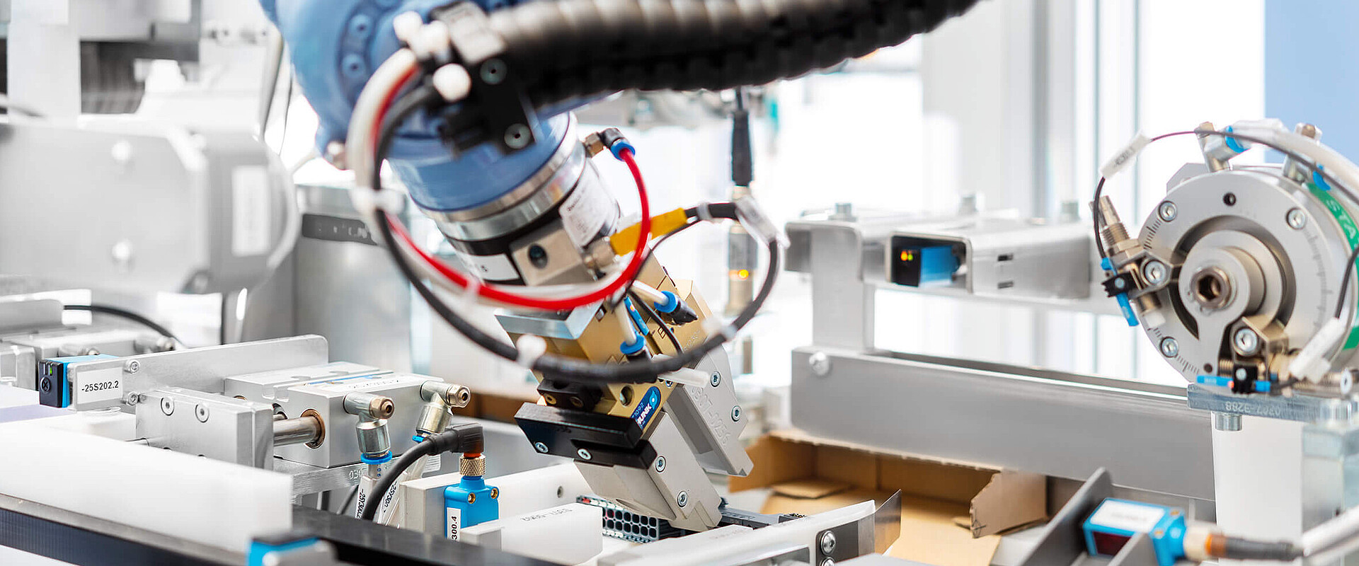 Wgląd do automatu pakującego z ramieniem robota