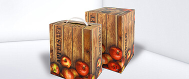 Karton i torba w opakowaniu bag in box