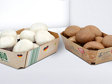Schalen aus Karton mit Champignons gefüllt